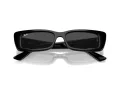Ray-Ban Teru Slnečné okuliare RB 4425 667787
