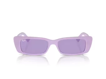 Ray-Ban Teru Slnečné okuliare RB 4425 67581A