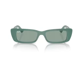 Ray-Ban Teru Slnečné okuliare RB 4425 676282