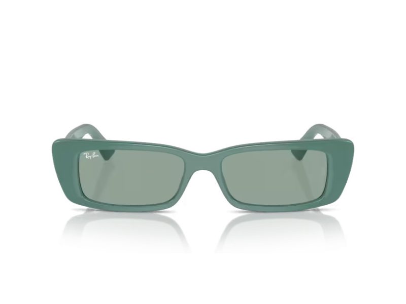 Ray-Ban Teru Slnečné okuliare RB 4425 676282