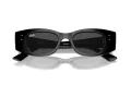 Ray-Ban Kat Slnečné okuliare RB 4427 667787