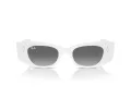 Ray-Ban Kat Slnečné okuliare RB 4427 675911
