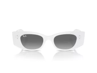 Ray-Ban Kat Slnečné okuliare RB 4427 675911