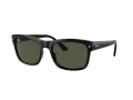 Ray-Ban Slnečné okuliare RB 0RB4428 601/31