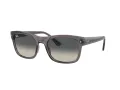 Ray-Ban Slnečné okuliare RB 0RB4428 667571