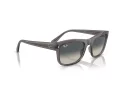 Ray-Ban Slnečné okuliare RB 0RB4428 667571