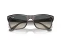 Ray-Ban Slnečné okuliare RB 0RB4428 667571