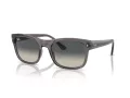Ray-Ban Slnečné okuliare RB 0RB4428 667571