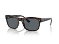 Ray-Ban Slnečné okuliare RB 0RB4428 710/R5