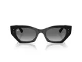 Ray-Ban Zena Slnečné okuliare RB 4430 667711