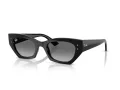 Ray-Ban Zena Slnečné okuliare RB 4430 667711