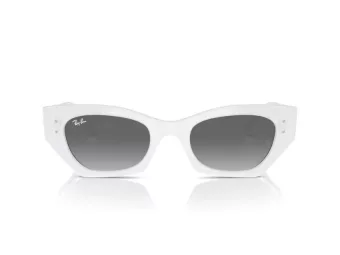 Ray-Ban Zena Slnečné okuliare RB 4430 675911