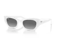 Ray-Ban Zena Slnečné okuliare RB 4430 675911