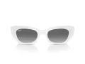 Ray-Ban Zena Slnečné okuliare RB 4430 675911