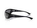 Ray-Ban Xan Slnečné okuliare RB 4431 66776V