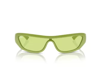Ray-Ban Xan Slnečné okuliare RB 4431 6763/2