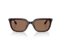 Ray-Ban Slnečné okuliare RB 4439D 623173