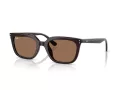 Ray-Ban Slnečné okuliare RB 4439D 623173