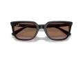 Ray-Ban Slnečné okuliare RB 4439D 623173