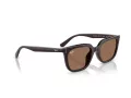 Ray-Ban Slnečné okuliare RB 4439D 623173
