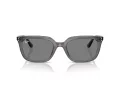 Ray-Ban Slnečné okuliare RB 4439D 667587