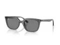 Ray-Ban Slnečné okuliare RB 4439D 667587