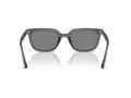 Ray-Ban Slnečné okuliare RB 4439D 667587