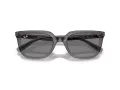 Ray-Ban Slnečné okuliare RB 4439D 667587