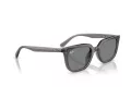 Ray-Ban Slnečné okuliare RB 4439D 667587