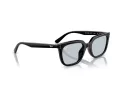 Ray-Ban Slnečné okuliare RB 4439D 901/72