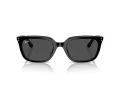Ray-Ban Slnečné okuliare RB 4439D 901/87