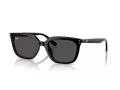 Ray-Ban Slnečné okuliare RB 4439D 901/87