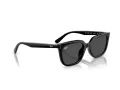 Ray-Ban Slnečné okuliare RB 4439D 901/87