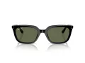 Ray-Ban Slnečné okuliare RB 4439D 901/9A