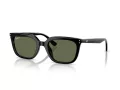 Ray-Ban Slnečné okuliare RB 4439D 901/9A