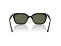 Ray-Ban Slnečné okuliare RB 4439D 901/9A