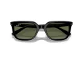 Ray-Ban Slnečné okuliare RB 4439D 901/9A