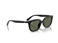Ray-Ban Slnečné okuliare RB 4439D 901/9A