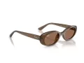 Ray-Ban Slnečné okuliare RB 4441D 677973