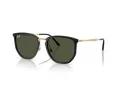 Ray-Ban Slnečné okuliare RB 4451 630631