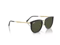 Ray-Ban Slnečné okuliare RB 4451 630631