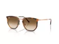 Ray-Ban Slnečné okuliare RB 4451 680451