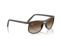 Ray-Ban Slnečné okuliare RB 4452 612413