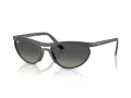 Ray-Ban Slnečné okuliare RB 4453 601711