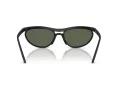 Ray-Ban Slnečné okuliare RB 4453 601S71