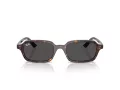 Ray-Ban Zuri Slnečné okuliare RB 4455 135987