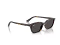 Ray-Ban Zaya Slnečné okuliare RB 4456 135987