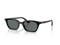 Ray-Ban Zaya Slnečné okuliare RB 4456 667781