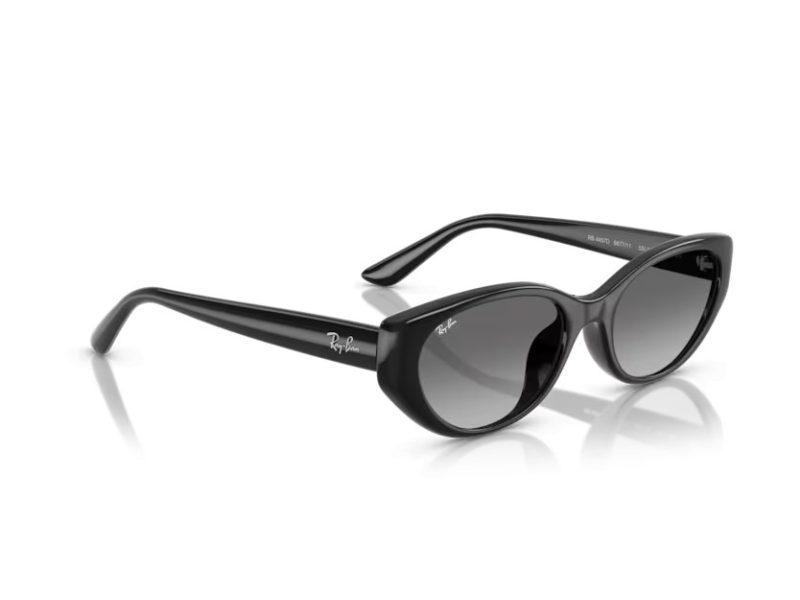 Ray-Ban Slnečné okuliare RB 4457D 667711
