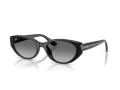 Ray-Ban Slnečné okuliare RB 4457D 667711